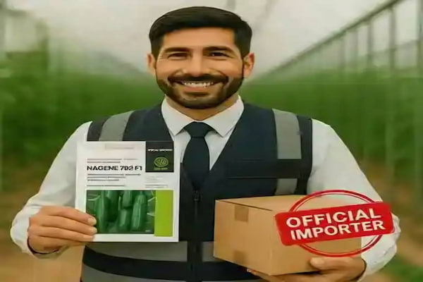 تصویر 5 از قیمت و خرید بذر خیار ناگین بسته ۵۰۰ تایی + بهترین قیمت
